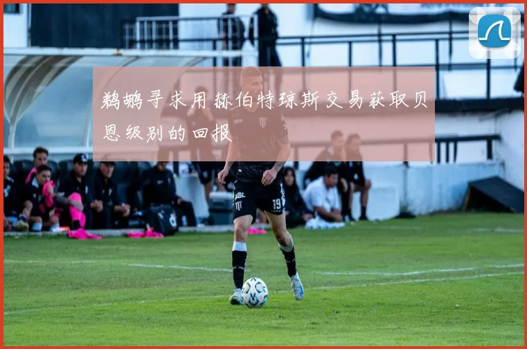 鹈鹕寻求用赫伯特琼斯交易获取贝恩级别的回报