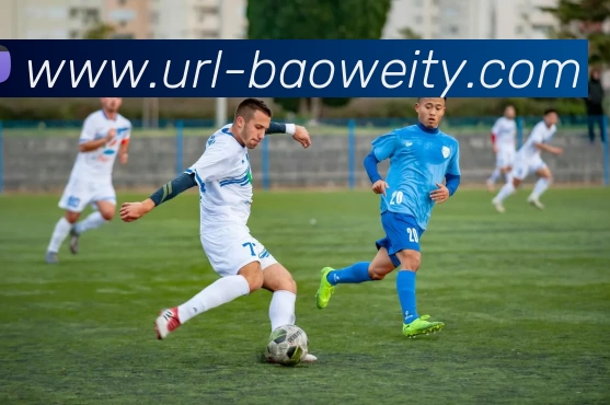 宝威体育APP 体育赛事宣传图